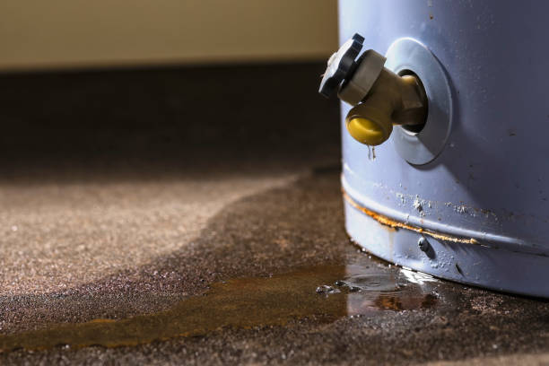 Best 24-hour water damage restoration  in Immokalee, FL