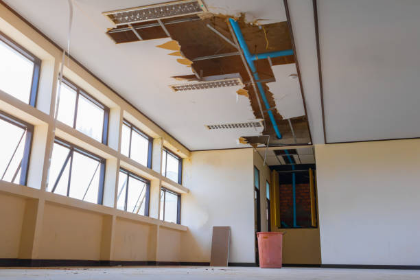 Best 24-hour water damage restoration  in Immokalee, FL