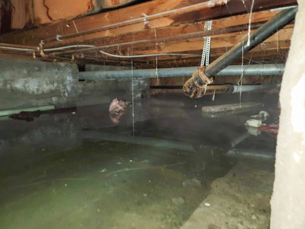 Best Residential water damage restoration  in Immokalee, FL
