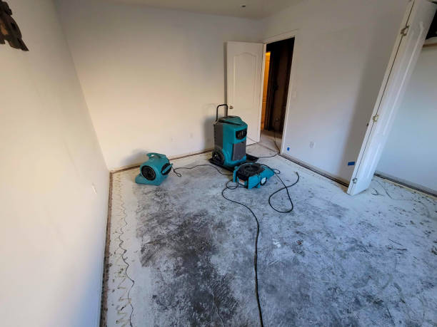 Best Flood restoration services  in Immokalee, FL