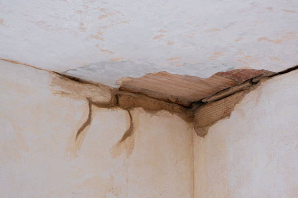 Best 24/7 water damage repair  in Immokalee, FL