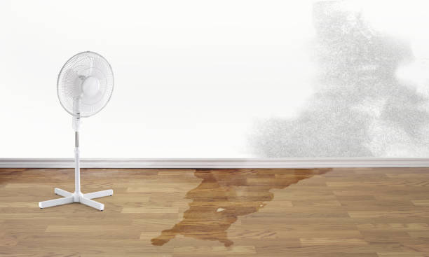 Best Flooded house restoration  in Immokalee, FL