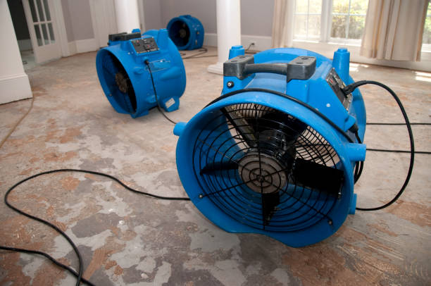 Best Commercial water damage restoration  in Immokalee, FL