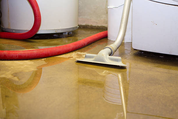 Best Water damage restoration cost  in Immokalee, FL
