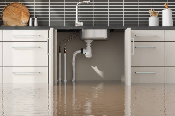 Best Commercial water damage restoration  in Immokalee, FL