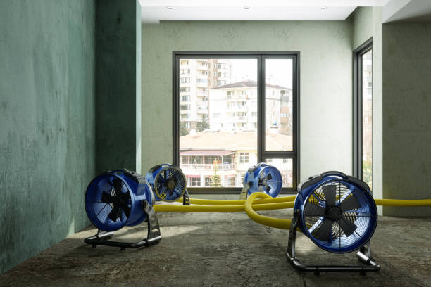 Best Water damage mitigation services  in Immokalee, FL